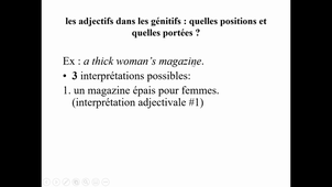 HIGGS LING 6.6 la portée des adjectifs