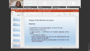 F. G'sell : Artificial Intelligence and Civil Liability 1/2
