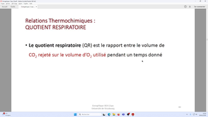 Physiologie UE4 Bioénergétique 1
