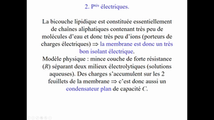 Nanosciences en médecine-enregistrement 6