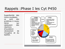 Interactions médicamenteuses métaboliques Partie 1