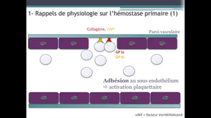Agents antiplaquettaires