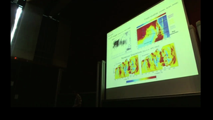 Large-scale realistic laboratory modeling of internal tide generation at the Luzon Strait - Matthieu Mercier, Institut de mécanique des fluides de Toulouse, Department of Mechanical Engineering