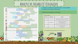 MSP Réalisée dans le cadre du projet DEBUTE dans la création d'un jardin partagé_IKRAME AISSOU