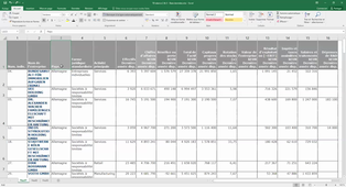 Excel. Supprimer lignes ou colonnes