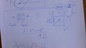 Une utilisation de l'agèbre linéaire : l'analyse en composantes principales
