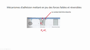 Biomimetisme-chapitre 7-enregistrement 8