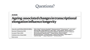 RNA polymerase and aging