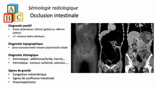 Imagerie abdomen pelvis - Occlusion intestinale