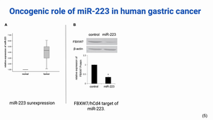 Petits ARN et Cancer