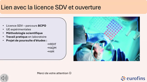 Clémence FRITSCH UE MSP .mov