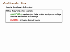 V2 RCT CM1 Schmit Dynamiques/Régulations Cellulaires et Tissulaires