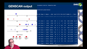 4.5.Hidden Markov Models (HMM) and gene prediction