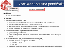 Les étapes de la vie (2)