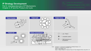 IP-Strategy 6.C2