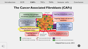 Microenvironnement tumoral