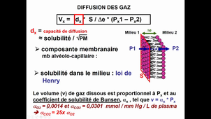 UE 6: Compartiments liquidiens 4