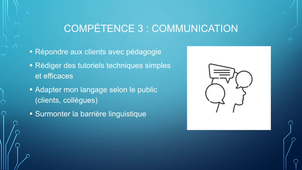 MSP EXPÉRIENCE PROFESSIONNELLE ARSLAN ALICIA.mov